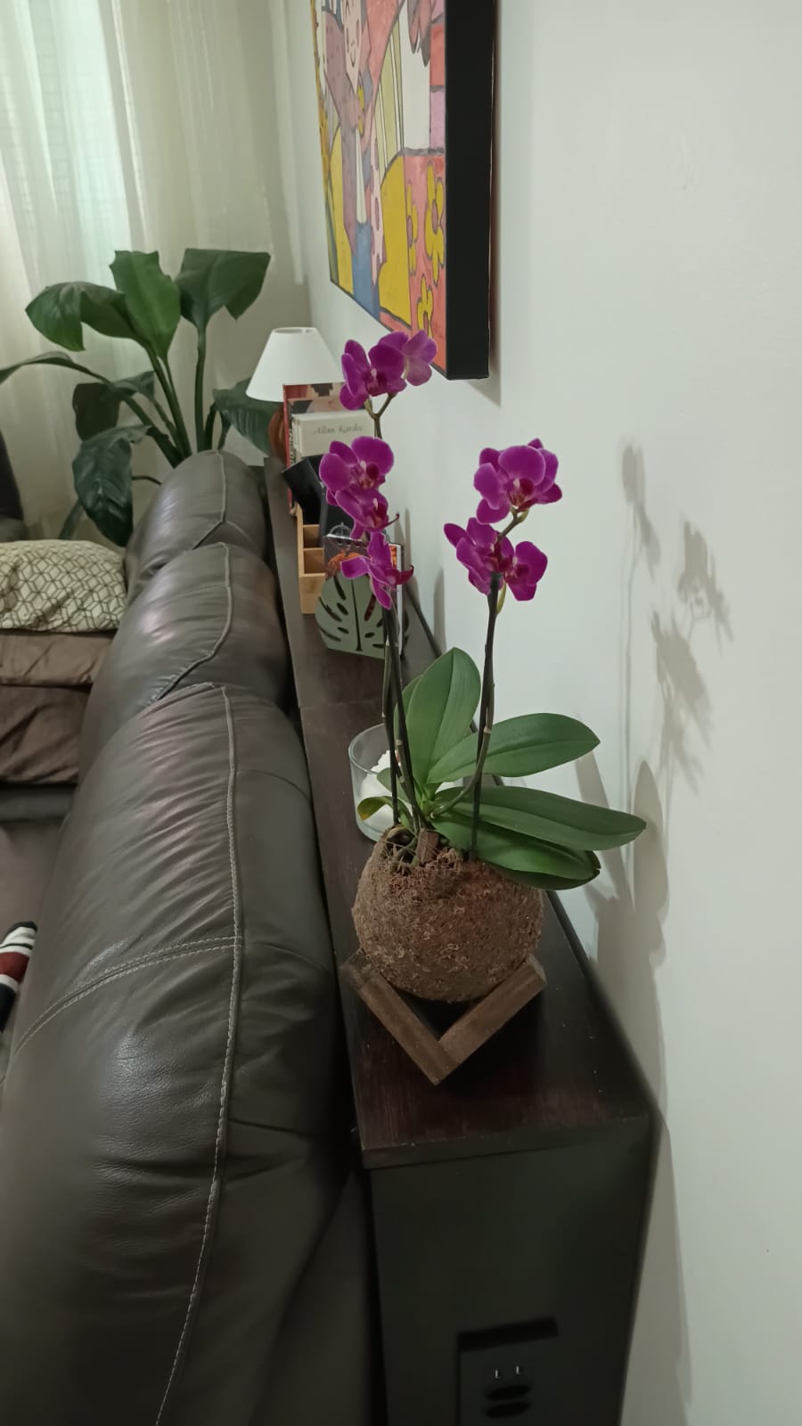 Kokedama de orquídea pink decorando um aparador na sala