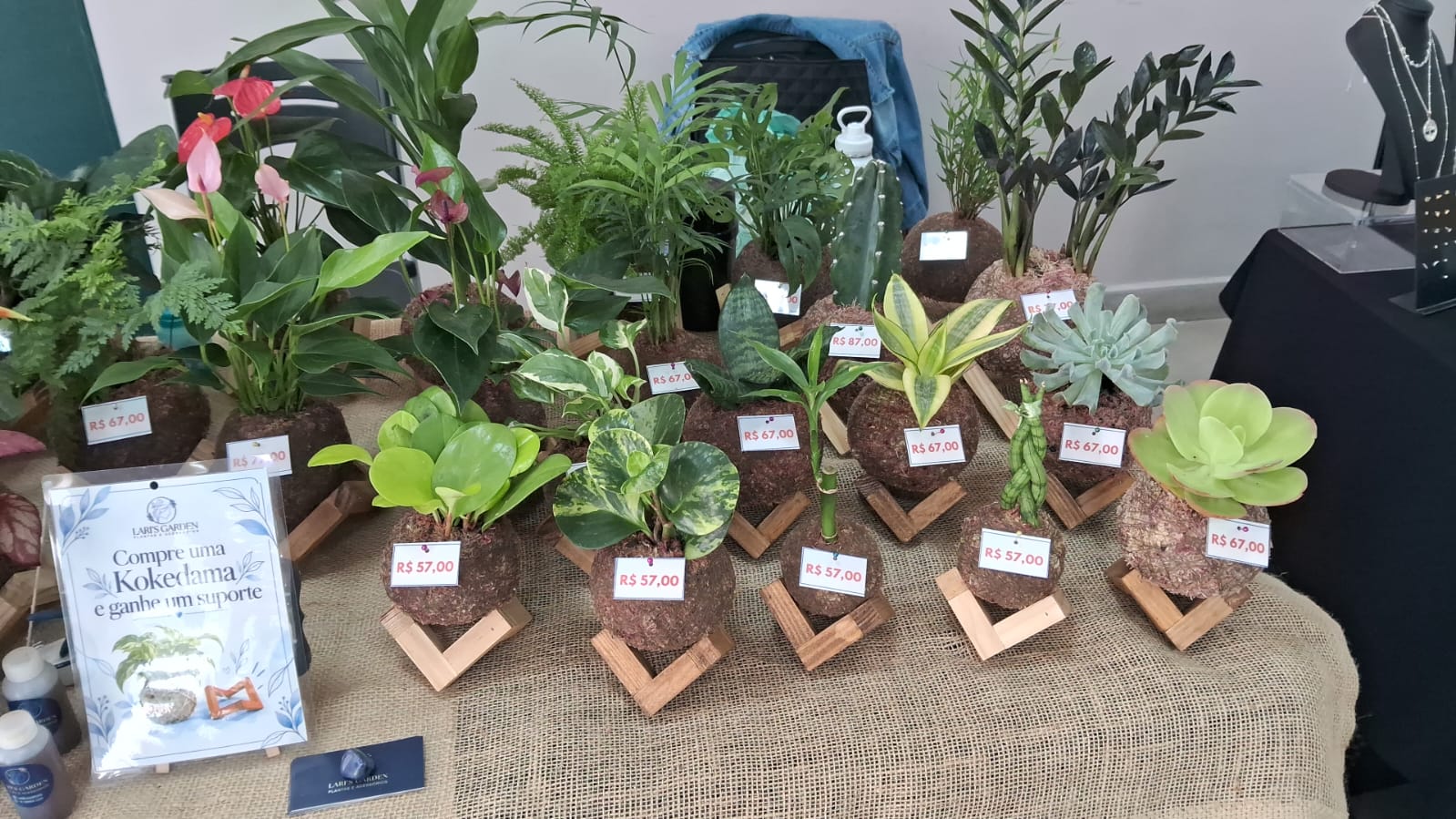 Kokedamas de folhagens e suculentas com plaquinhas de preço na feira