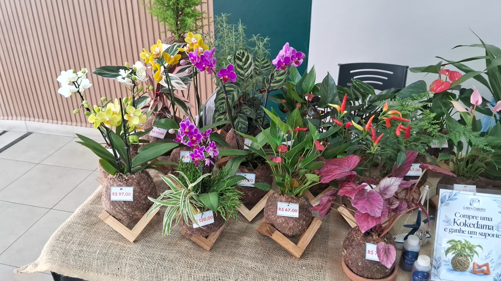 Kokedamas de orquídeas, antúrios e pimentas expostas na feira